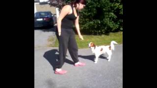 Video-2013-08-24-13-40-48.Mp4