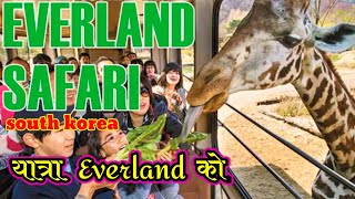 जंगली जनावरहरुको live भिडियो | Everland Safari South Korea | Everland Travelling vlogs | GS Informer