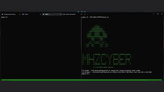 CVE-2022-44877 Exploitation - Centos Web Panel 7  Unauthenticated RCE