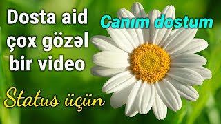 Canım Dostum - Dosta Aid Çox Gözəl Bir Video Status Üçün