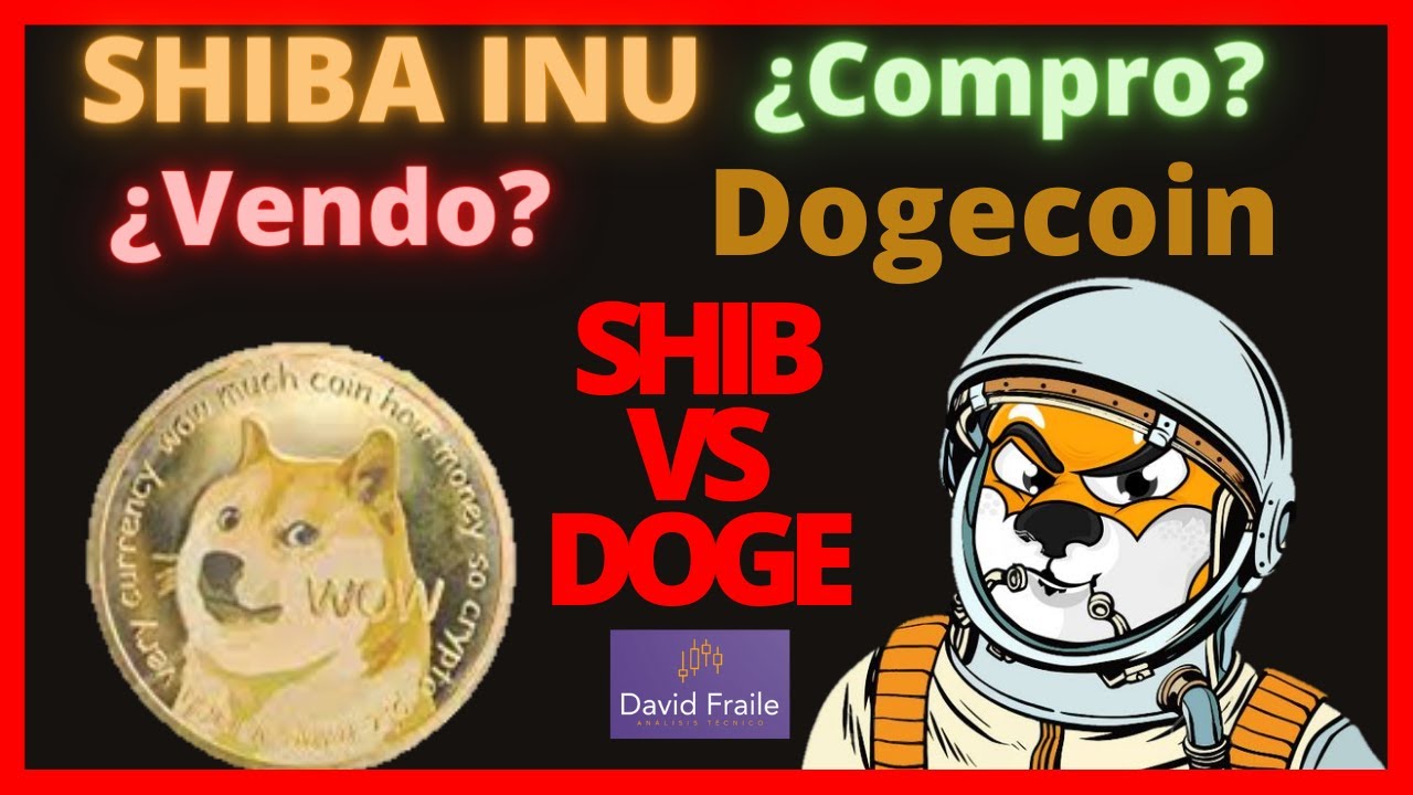 SHIBA INU retrocede 🚨 El token SHIB frente a DOGECOIN