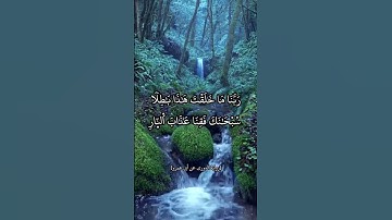 برواية الدوري عن أبي عمرو البصري || عمرو شاهين #الشاطبية #القراءات_العشر #قرآن #قراءات