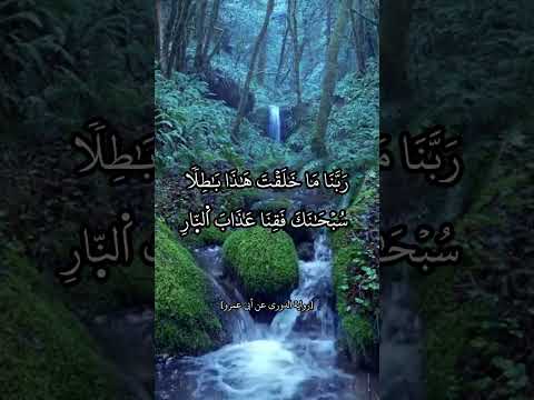 برواية الدوري عن أبي عمرو البصري عمرو شاهين الشاطبية القراءات العشر قرآن قراءات