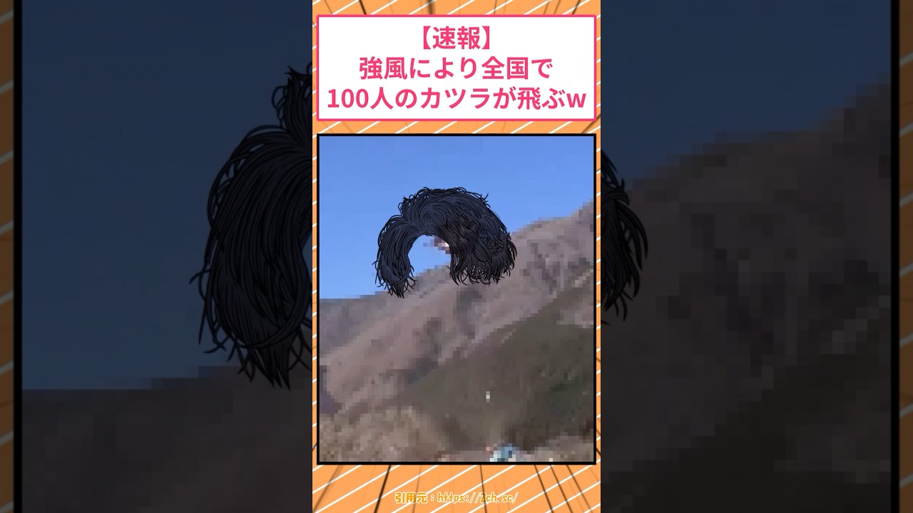【速報】強風により全国で100人のカツラが飛ぶw #2ch面白いスレ