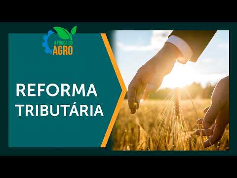 Tax Reform and Agribusiness: Three legal challenges you need to know | AFA with Joice Maffezzolli
