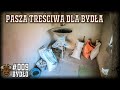 #9 Bydło opasowe - Pasza treściwa z własnego gospodarstwa. Jak robimy śrut i ile to kosztuje?