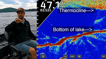 Thermocline Secrets for Lake Trout – Sonar, LiveScope & Fish Hawk Tips!