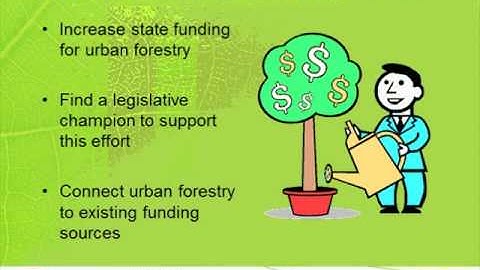 Tree Board Webinar - March 2016 - The Role of Advocacy in Community Forestry