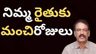 BIG News to Lemon Crop Farmers | నిమ్మ రైతుకు మంచి రోజులు