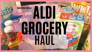 ALDI GROCERY HAUL WITH PRICES