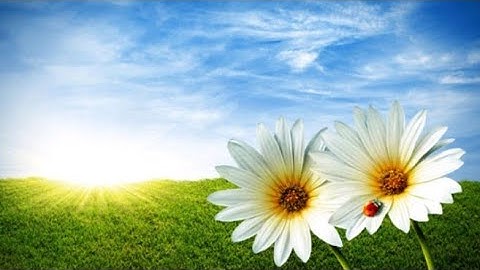 اذكار الصباح والمساء مبسطة حصن بها نفسك وبيتك #اذكار وداعية #افكار بيرى