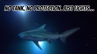 Diver Jumps In The Ocean At Night With Sharks!