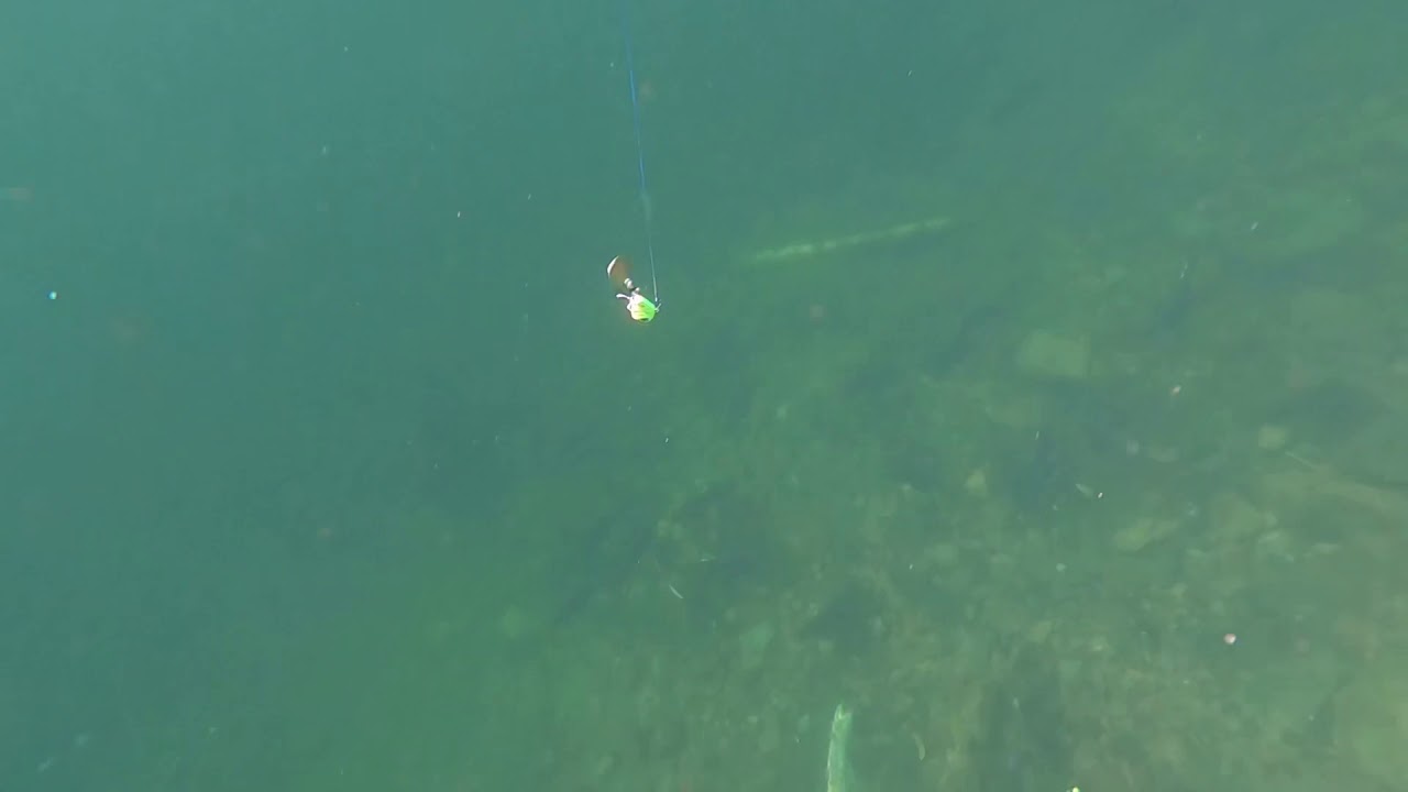 Mini slab hammer promo