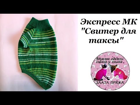 Как связать свитер таксе спицами