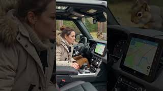 A Mother Squirrels Frantic Plea For Her Kit Leads To A Compionate Rescue And Cross-Species Trust