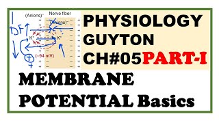 Chapter#5(Part-I) | Membrane Potential Basics | Guyton Physiology | Dr Asif Lectures