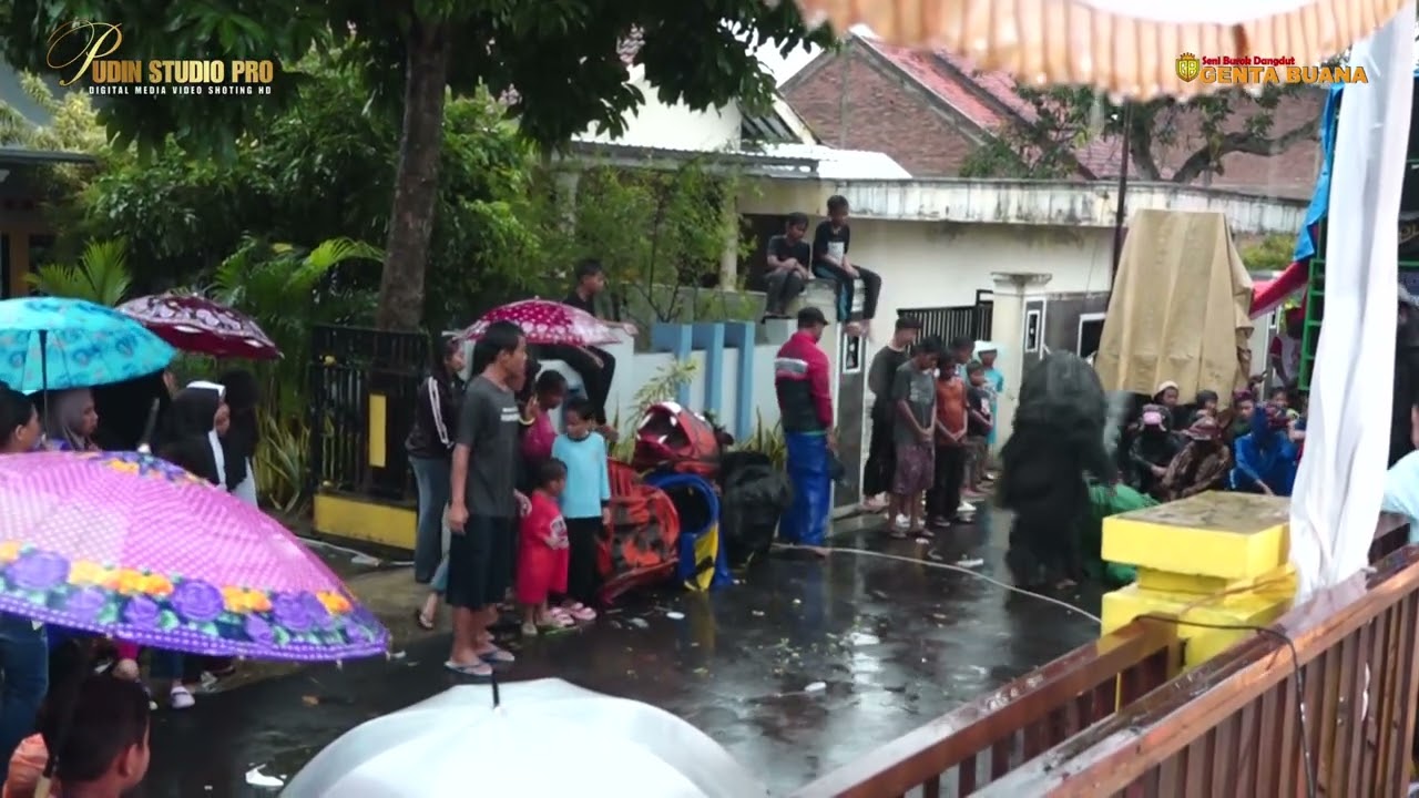 PERANG SATOWAN | BUROK GENTA BUANA LIVE SHOW DS CIHAUR BANJARHARJO BREBES 17 FEB 2025