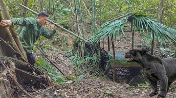 FULL VIDEO:90 Days Building Shelter , Wild Chicken Hunting, Fishing, Survival Alone, Survival Skills