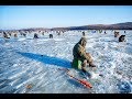 КОРЮШКОВАЯ РЫБАЛКА НА БЕЛОМ МОРЕ, В МЕТЕЛЬ!!!