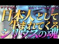 【サアラさん】日本人として生まれてくる“シリウスの魂”~青白くて小さな人たち
