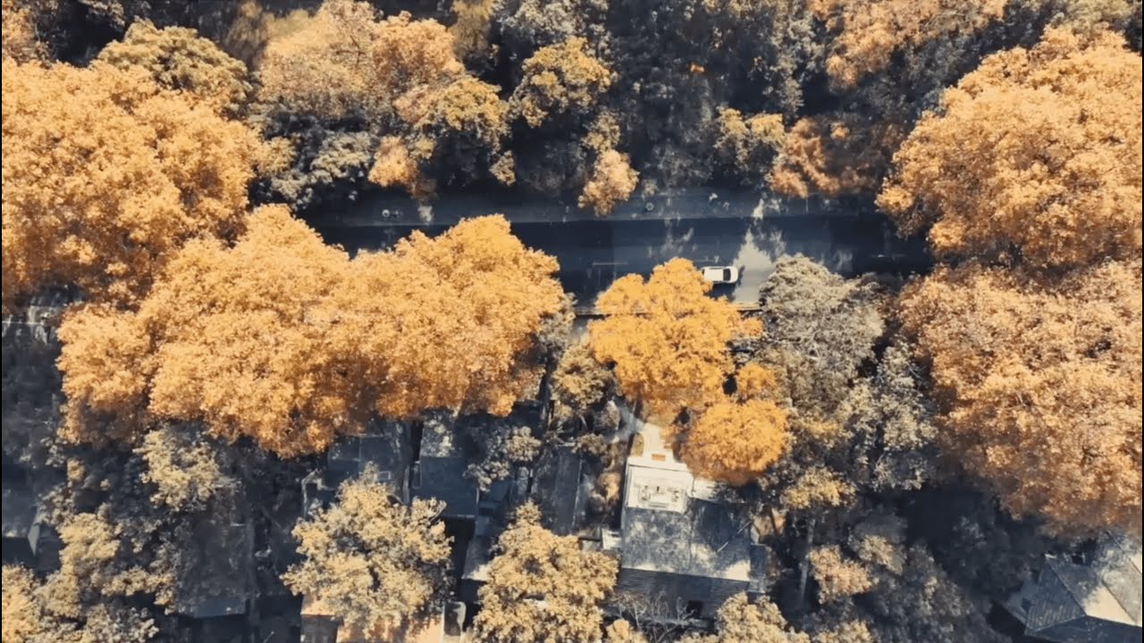 Hangzhou’s most beautiful autumn scenes are captured forever within a photographer’s lens.