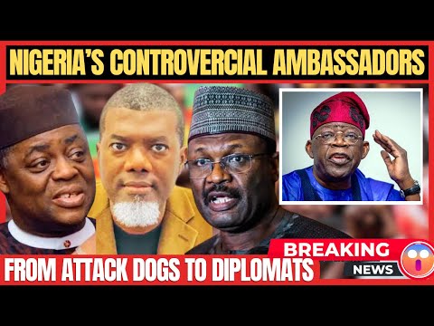 كيف أصبحت كلاب الهجوم الحزبية دبلوماسيين في نيجيريا