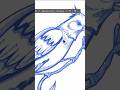 Sketch-to-Vector in Illustrator Beta