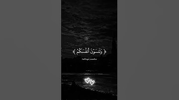( أتأمرون الناس بالبر وتنسون أنفسكم )  -  القارئ عبدالرحمن مسعد#تلاوة_هادئة