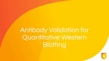 What is Validation? | Antibody Validation