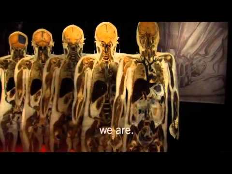 Gunther von Hagens' BODY WORLDS: The Original Exhi...