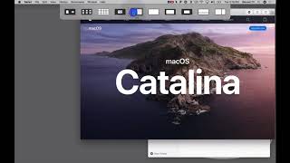 Fast Window Management for your Mac- Mosaic screenshot 3