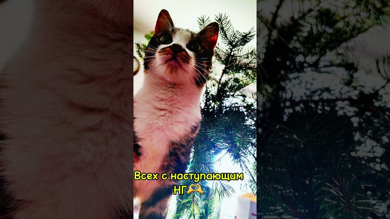 Счастливого НГ 
