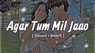 Agar Tum Mil Jaao [ Slowed + Reverb ] | Shreya Goshal | Hindi Lofi Thumb