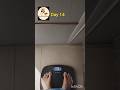 weightloss #day14 #food #mahakal #lifestyle #explore #motivation #love #health #diet #youtube #yt