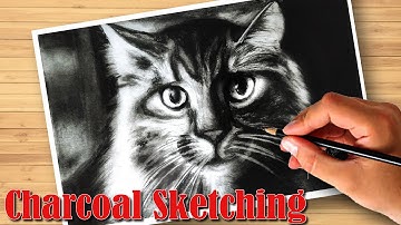 How to Draw Realistic Cat for beginners | Charcoal sketching Tutorial | Realistic Pencil Sketch Art