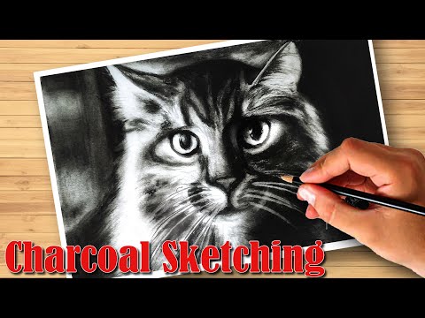 How to Draw Realistic Cat for beginners | Charcoal sketching Tutorial | Realistic Pencil Sketch Art