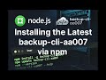 Simple Timestamped File Backup CLI Tool - backup-cli-aa007