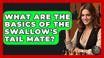 What Are The Basics Of The Swallow