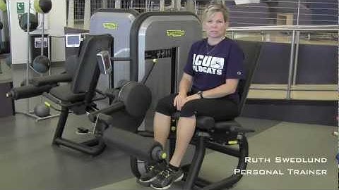 Technogym - Leg Extension