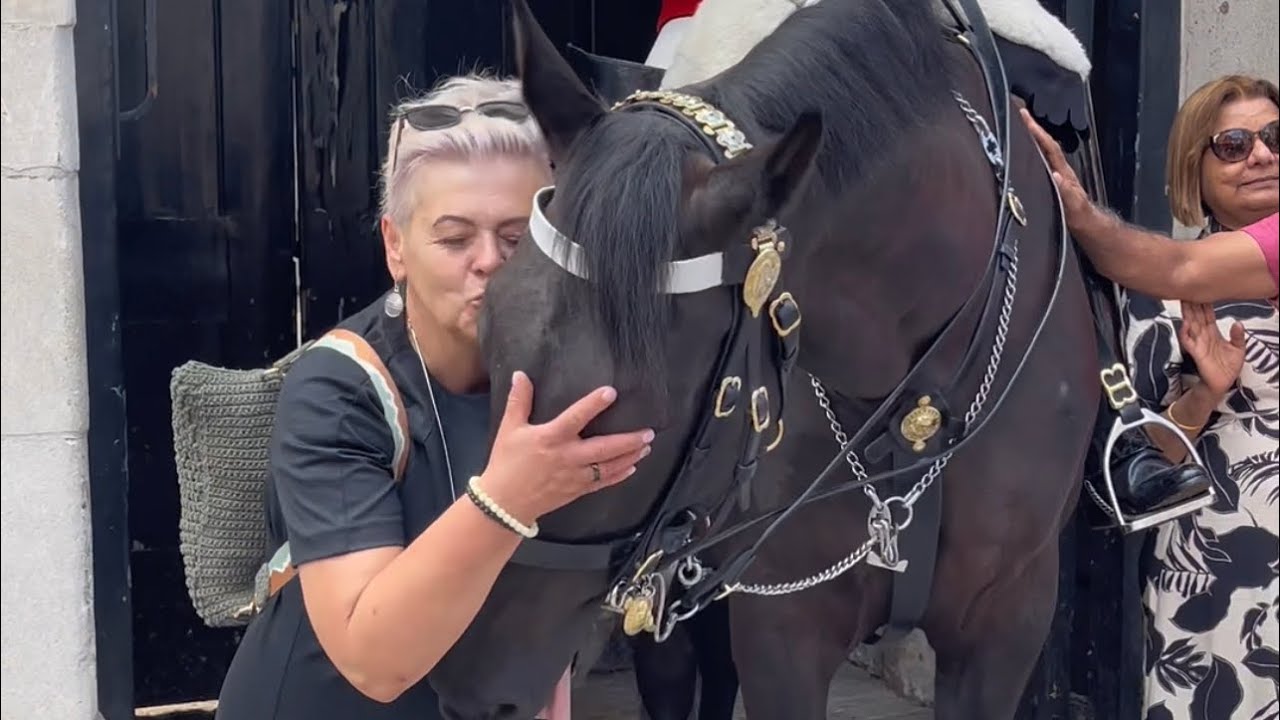 Unbelievable: Watch what Happens when a Horse Sees THIS Woman’s! - YouTube