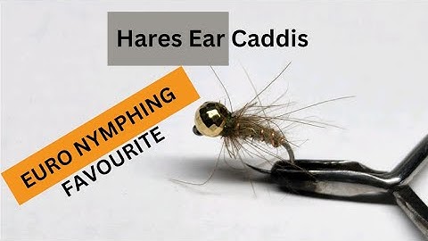 Hares Ear CADDIS with CDC collar || Weekly Fly Tying Video||Jig Nymph/Euro Nymphing Flies.