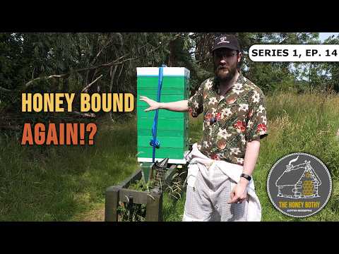 Honey Bound Again? Simple Swarm Prevention! | S1 E14