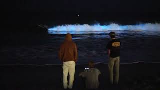 Bioluminescence in Laguna Beach 1/1/24