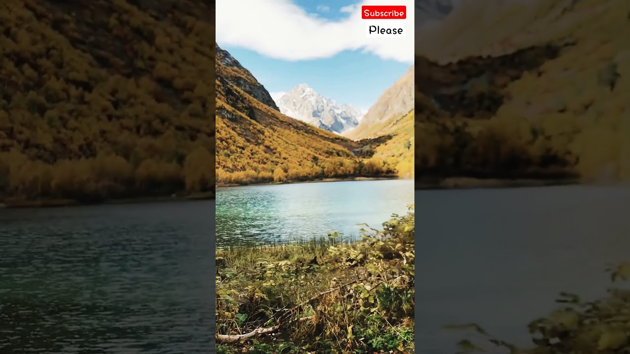 NATURE WATER AND LIVER //NATURE WORLD91//NATURE SHORTS//