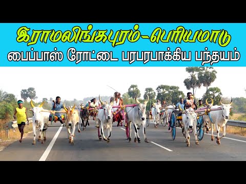ETSS reckla race - இராமலிங்கபுரம் (பெரியமாடு-09.03.2022) bulls race