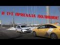 Вектор Движения №256 И тут приехала полиция!