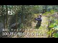 【裏庭付きの豪邸】荒れた裏庭整理して、ウッドデッキを設置したい|田舎暮らし