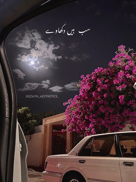 Ghalat Fehmi (slowed & reverb)✨💜| Shorts |whatsapp Short video