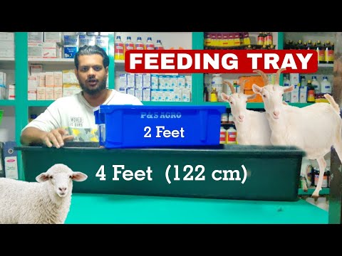 Feeding Tray for Goat, Sheep & Cattle 4 Feet & 2