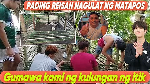 🇵🇭 TULONG TULONG PAG GAWA NG KULUNGAN NG ITIK SA LIKOD BAHAY @langga.reychelle